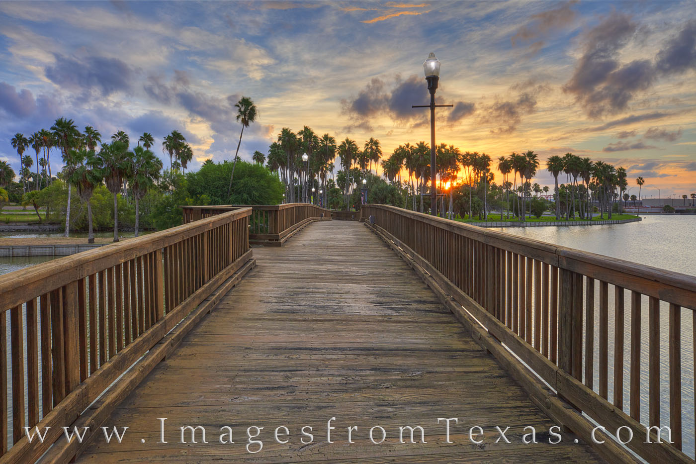 Along one of Brownsville’s many resacas, a footbridge crosses over the water. Palm trees line both sides of the waterway, and...