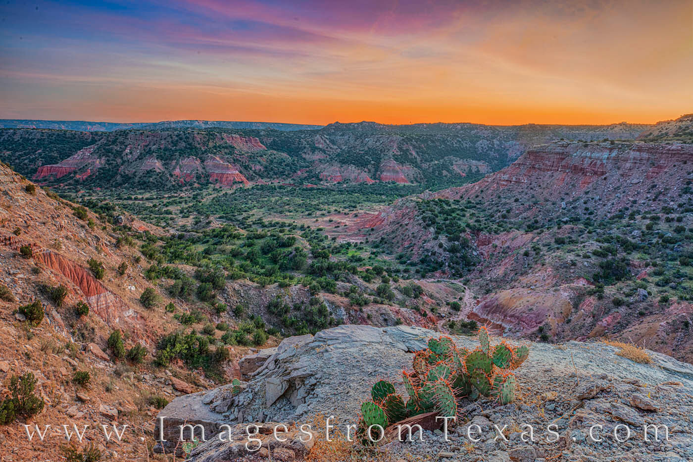 From a cliff’s edge along the CCC trail in Palo Duro Canyon, the sunset was gorgeous on this warm September evening. The prickly...