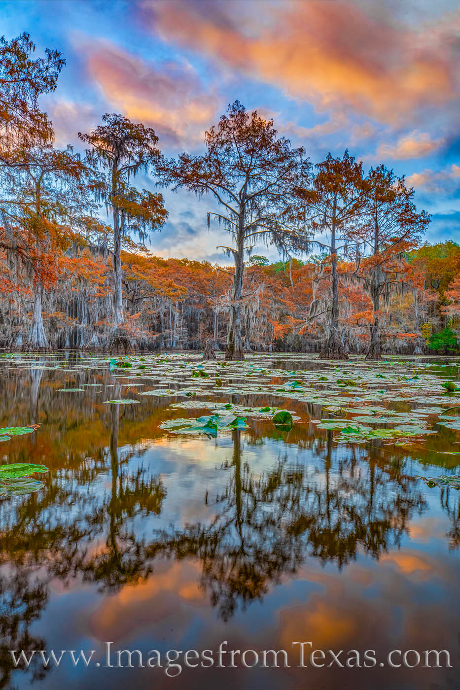 Mill Pond in Caddo Lake State Park is a great place to take in a Autumn sunrise.