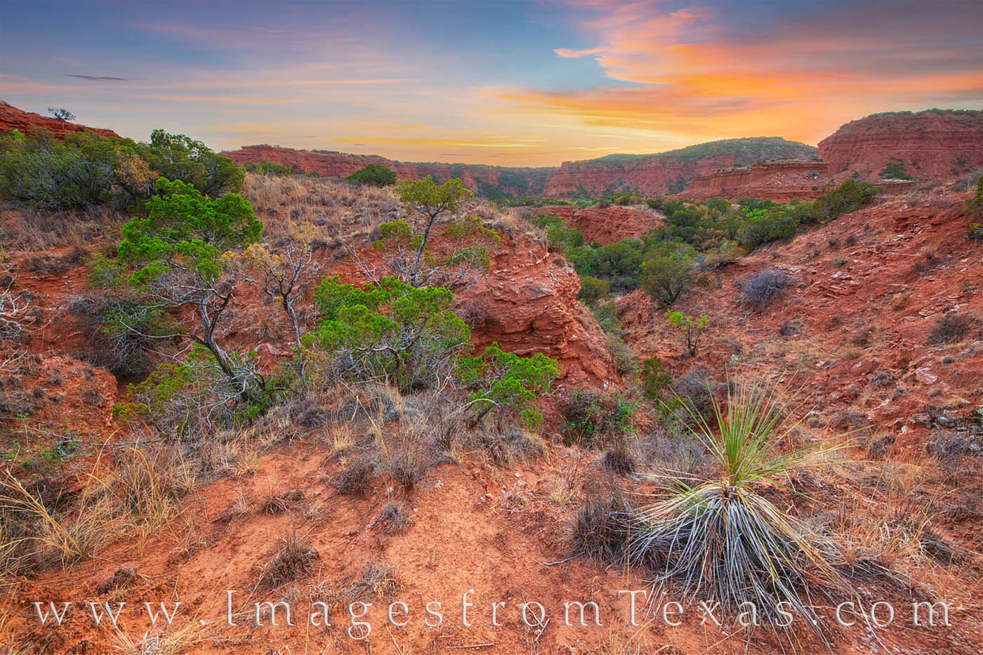 From somewhere in the bush in Caprock Canyons State Park, a colorful sunset graces the skies on a warm May evening. The land...