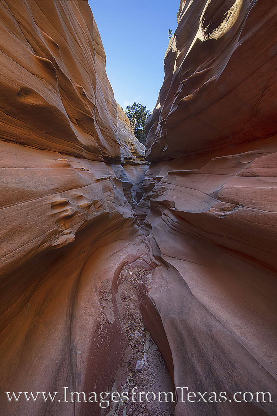 The walls of the Upper Slot Canyon, part of the Central Utah Slot Canyon system in Palo Duro State Park, twist and turn in the...