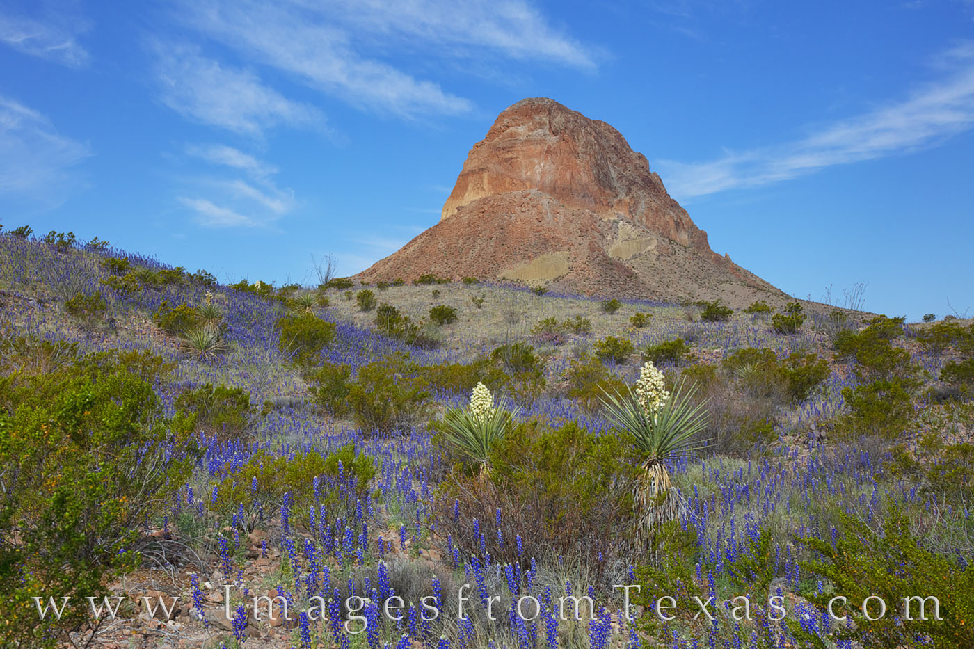 From River Road West, this view shows a side of Cerro Castellan not often seen. The bluebonnets in early March painted the foreground...