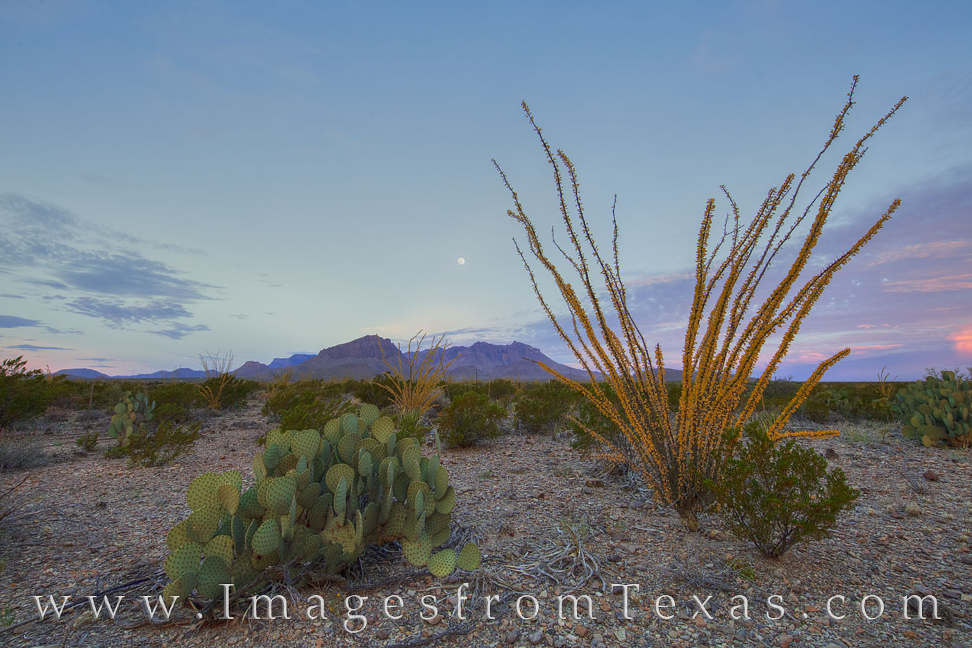 The Chihuahuan Desert that surrounds the Chisos Mountains is an arid and harsh environment. Big Bend National Park is a place...