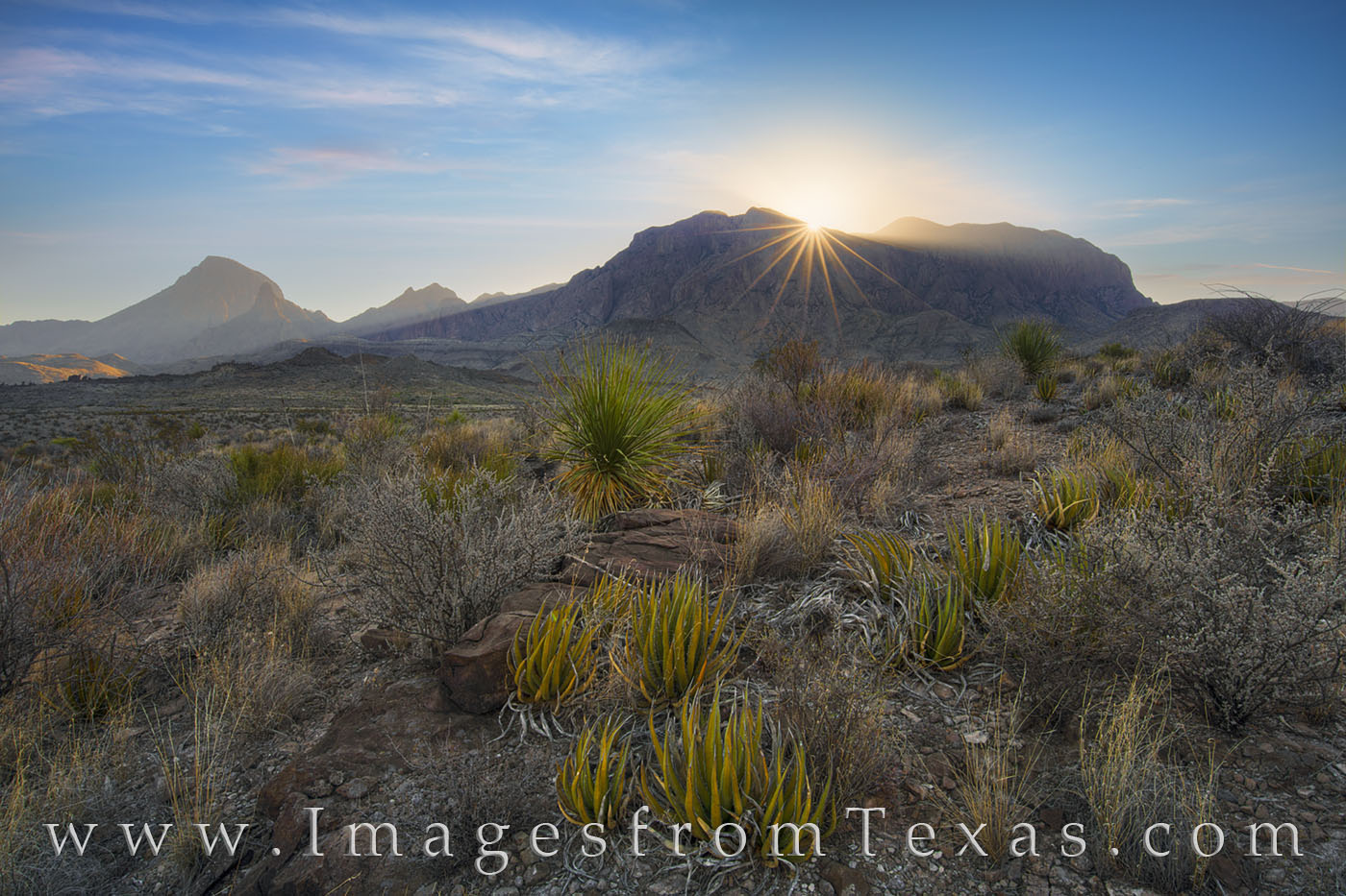 big bend, chisos mountains, sunrise, western slope, yucca, cacti, national park, texas parks, scenic drive, texas sunrise, chihuahuan desert, desert, west texas