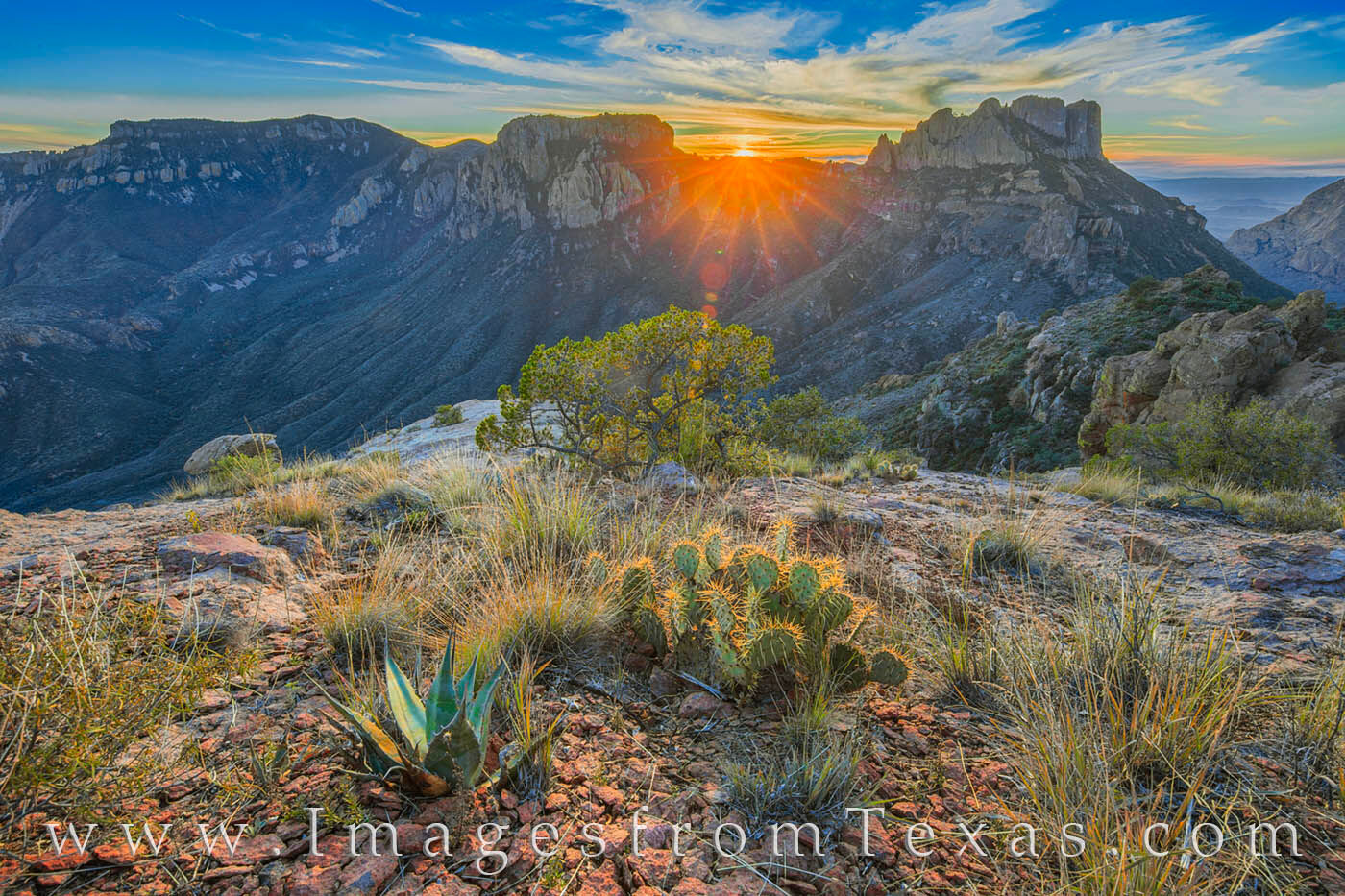 Prickly Pear and Yucca made a nice foreground in this sunset photograph taken high up on the Lost Mine Trail. The iconic Casa...