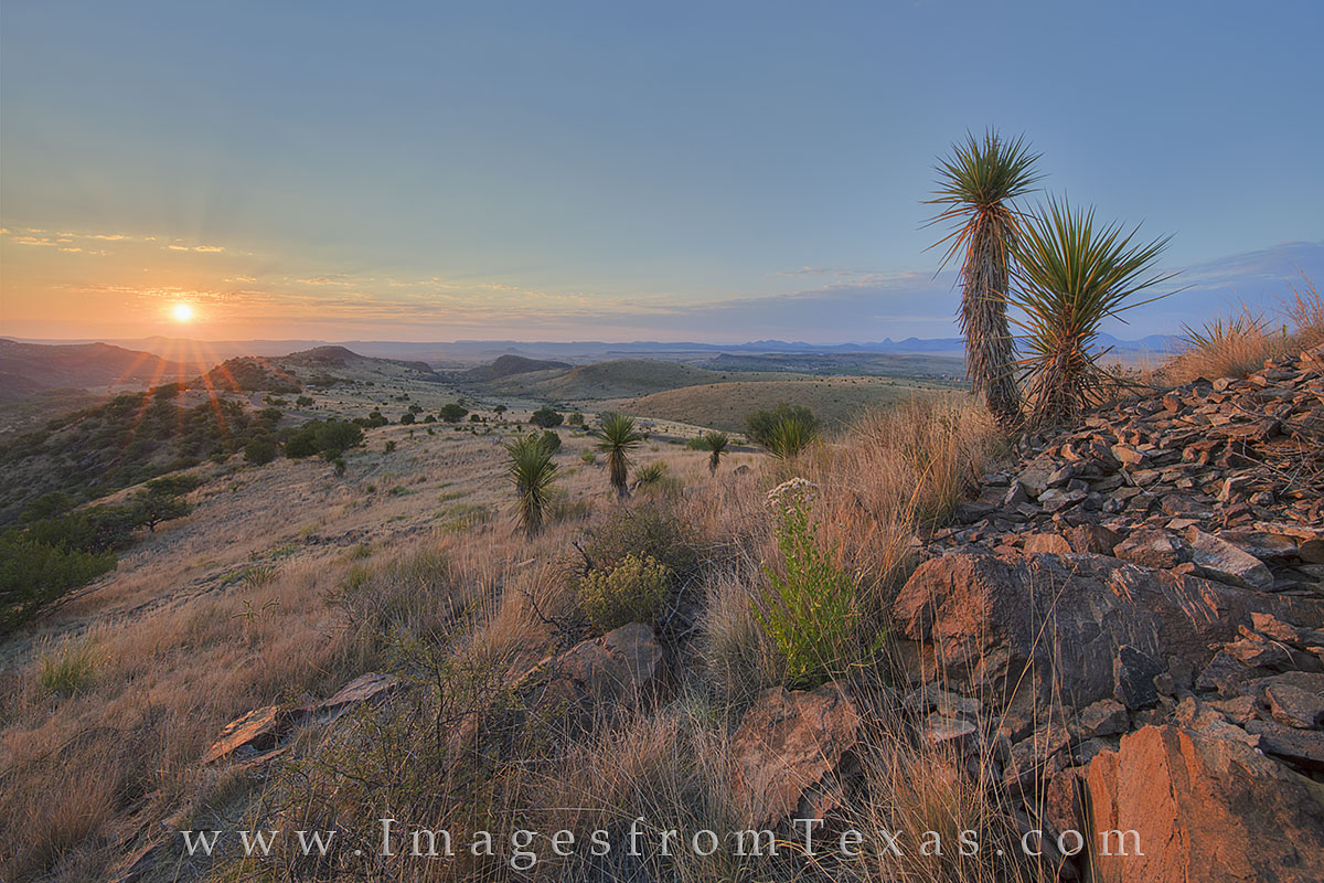 From a rocky promontory along the Skyline Drive Trail, yucca reach up for the first sunlight of a summer morning in Davis Mountains...