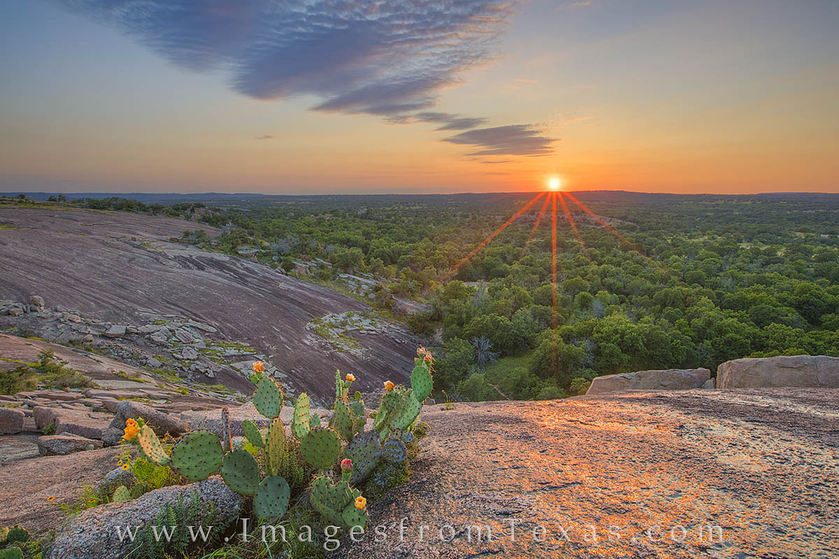 A prickly pear cactus blooms on Little Rock, a rise of granite just west of Enchanted Rock in the Texas Hill Country. This sunset...