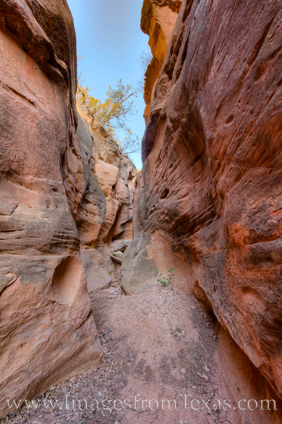 Fern Cave Slot Canyon is a hidden gem of Caprock Canyons S.P.