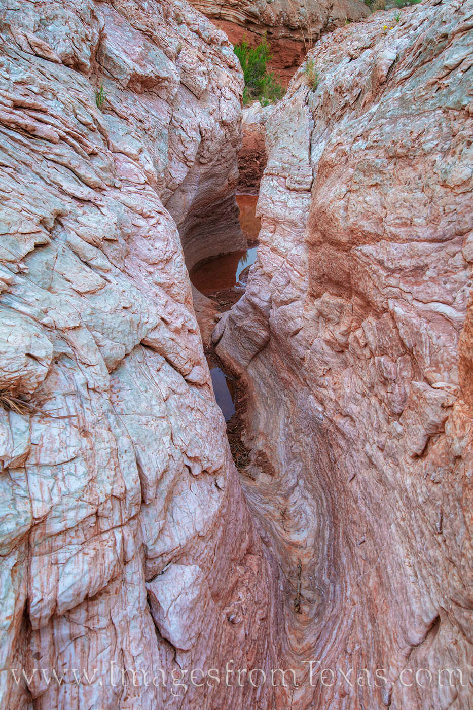 Hidden not far off the trail in Caprock Canyons is this small gypsum slot canyon. The lines and curves in conjuction with the...