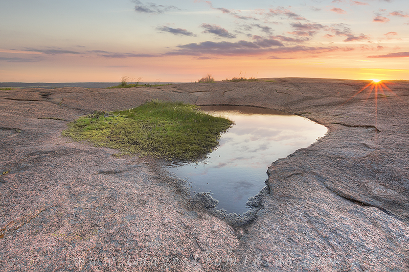 Thousands of years of erosion atop the granite summit on Enchanted Rock leave areas called Vernal Pools. These collections of...