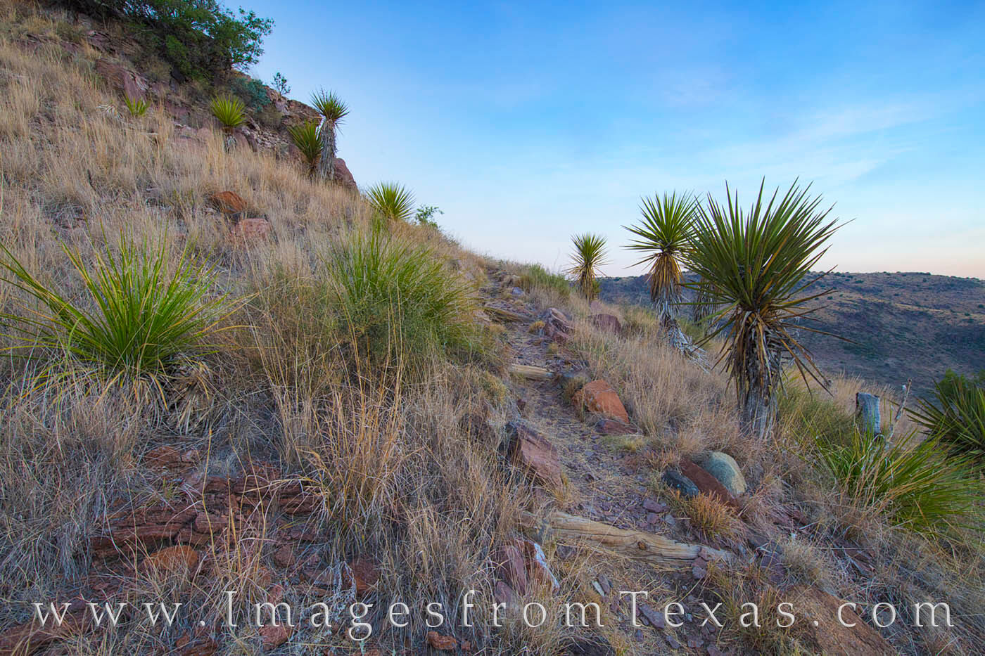 This photograph shows a portion of the Skyline Drive Trail as it winds through Davis Mountains National Park. This path is ~...