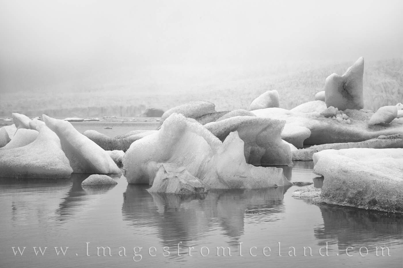 Fjallsárlón Glacier icebergs float in cold waters on a gray, cold, rainy summer day in south Iceland in this black and white...