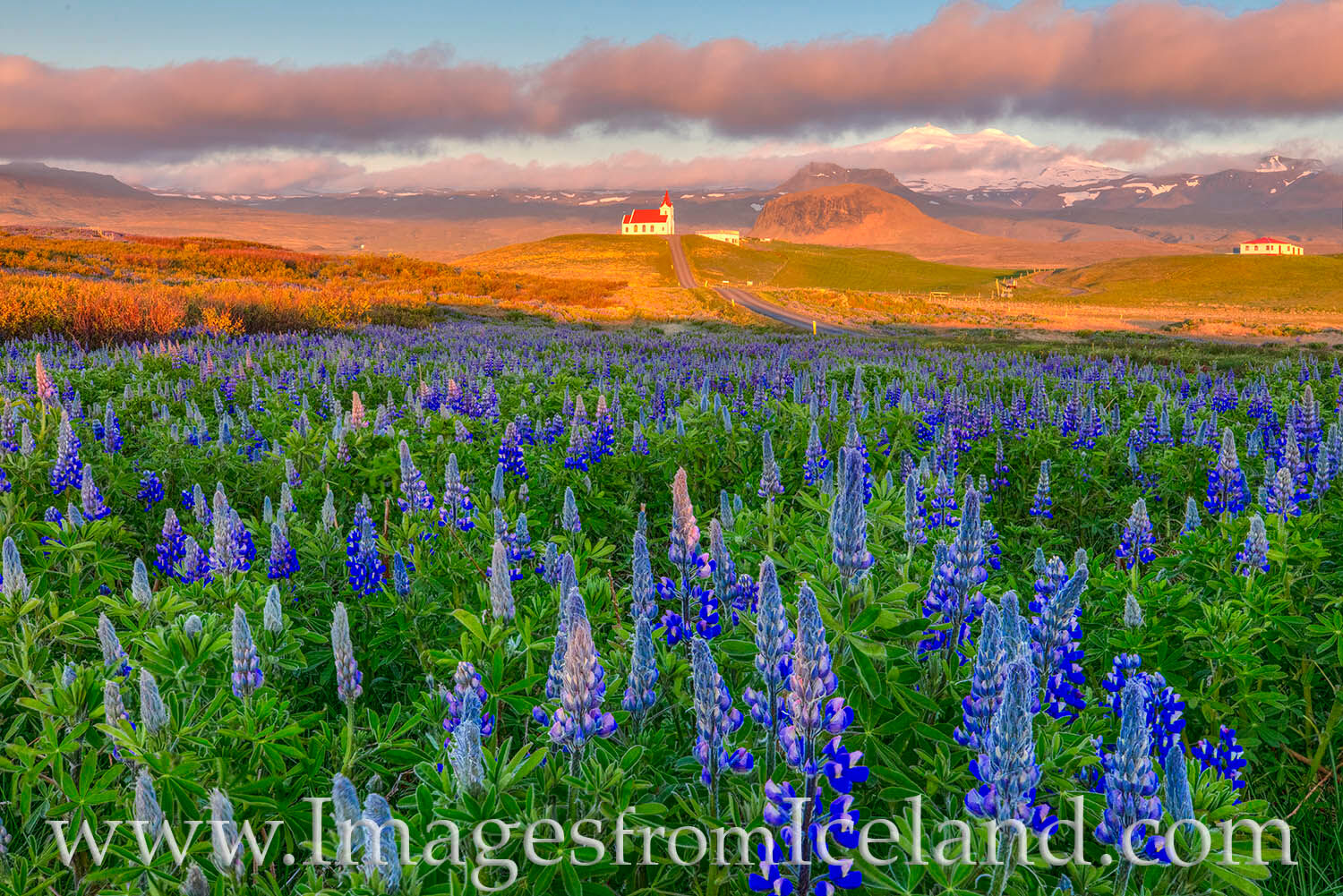Ingjaldshólskirkja in Golden Light - West Iceland 1