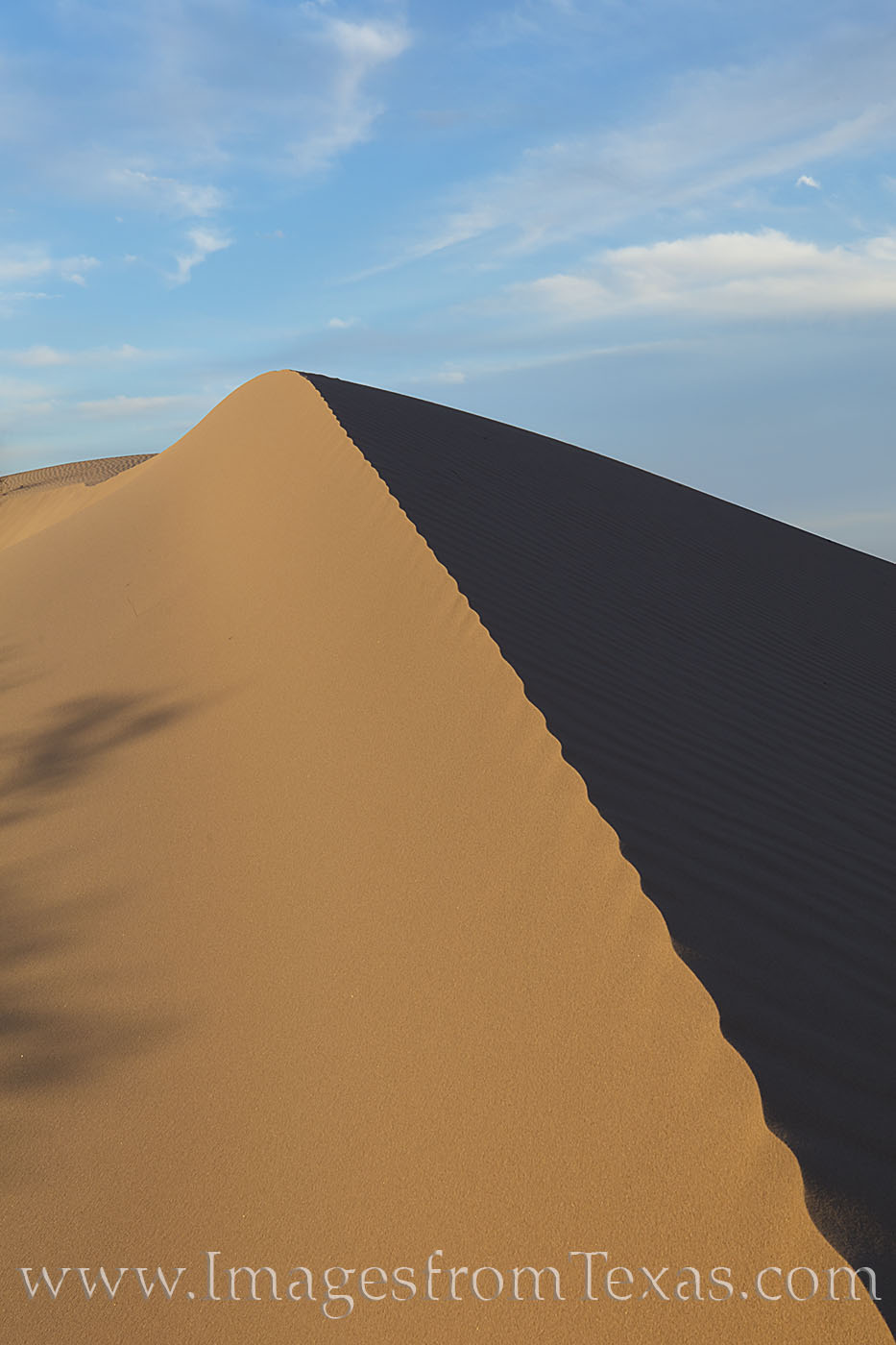 This image of a sand dune shows the play of light on a March evening. Taken at Monahans Sandhills State Park in west Texas, the...