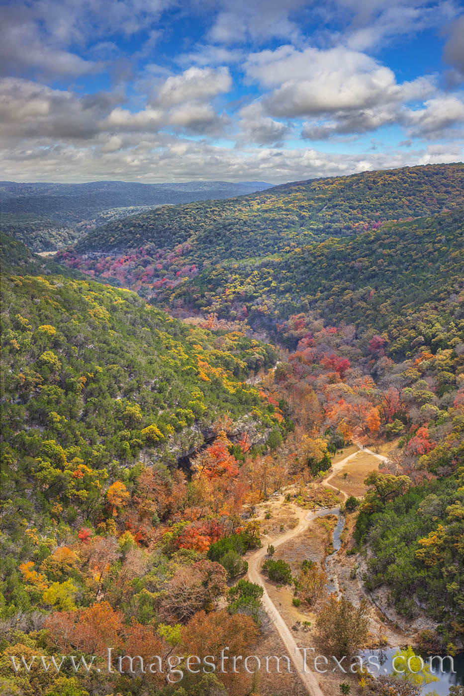 From high up on the edge of the East Trail in Lost Maples, this view shows the the colorful trees lining the lower portion of...