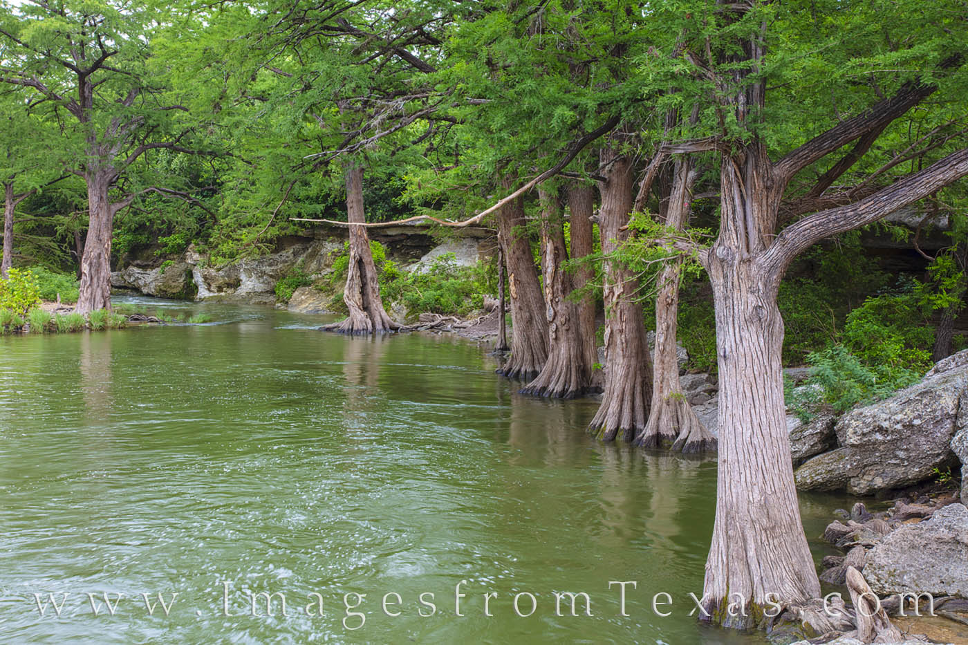 Onion Creek flows through McKinney Falls beneath the aged trunks of tall cypress. Two waterfalls highlight this area - the Upper...