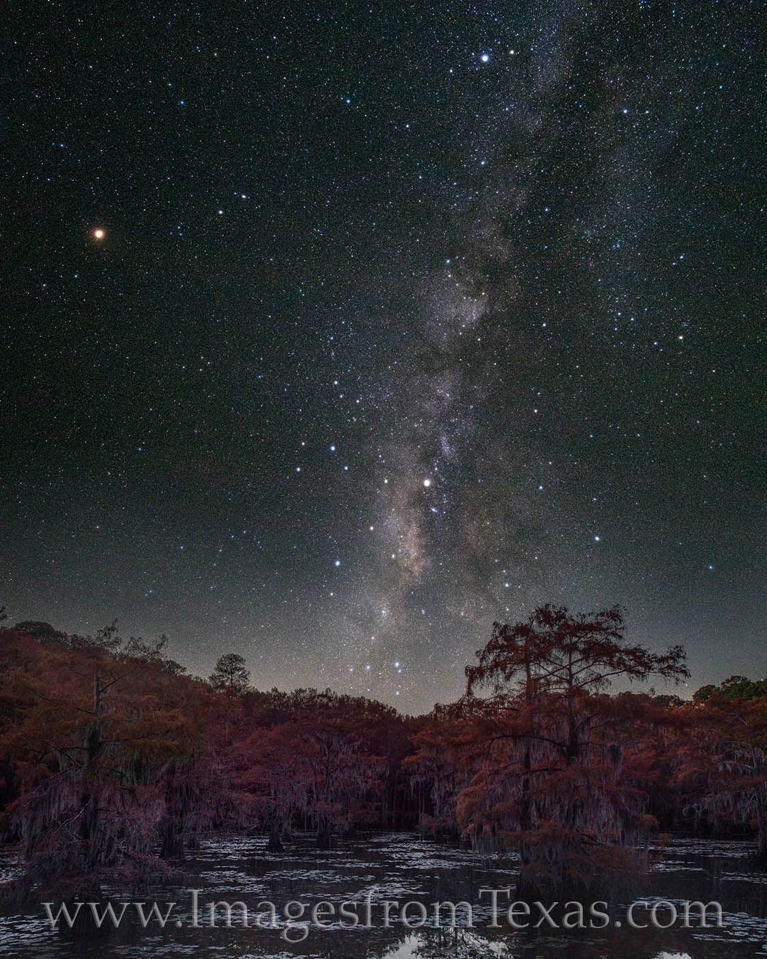 On a cold November evening, the Milky Way was beautiful over Mill Pond in Caddo Lake. Even hints of orange and red fall colors...