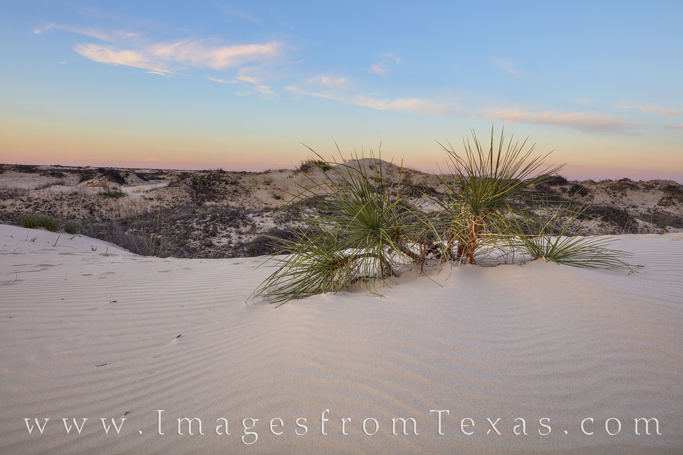 With the sun setting behind me, I wanted to capture the pink hue on the sand dunes at Monahans Sandhills State Park. This amazing...