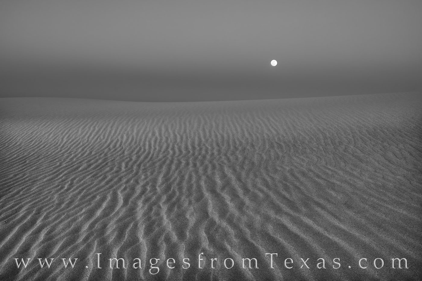 This black and white image of sand dunes and the setting full moon comes from Sandhills State Park, a park comprised nearly entirely...