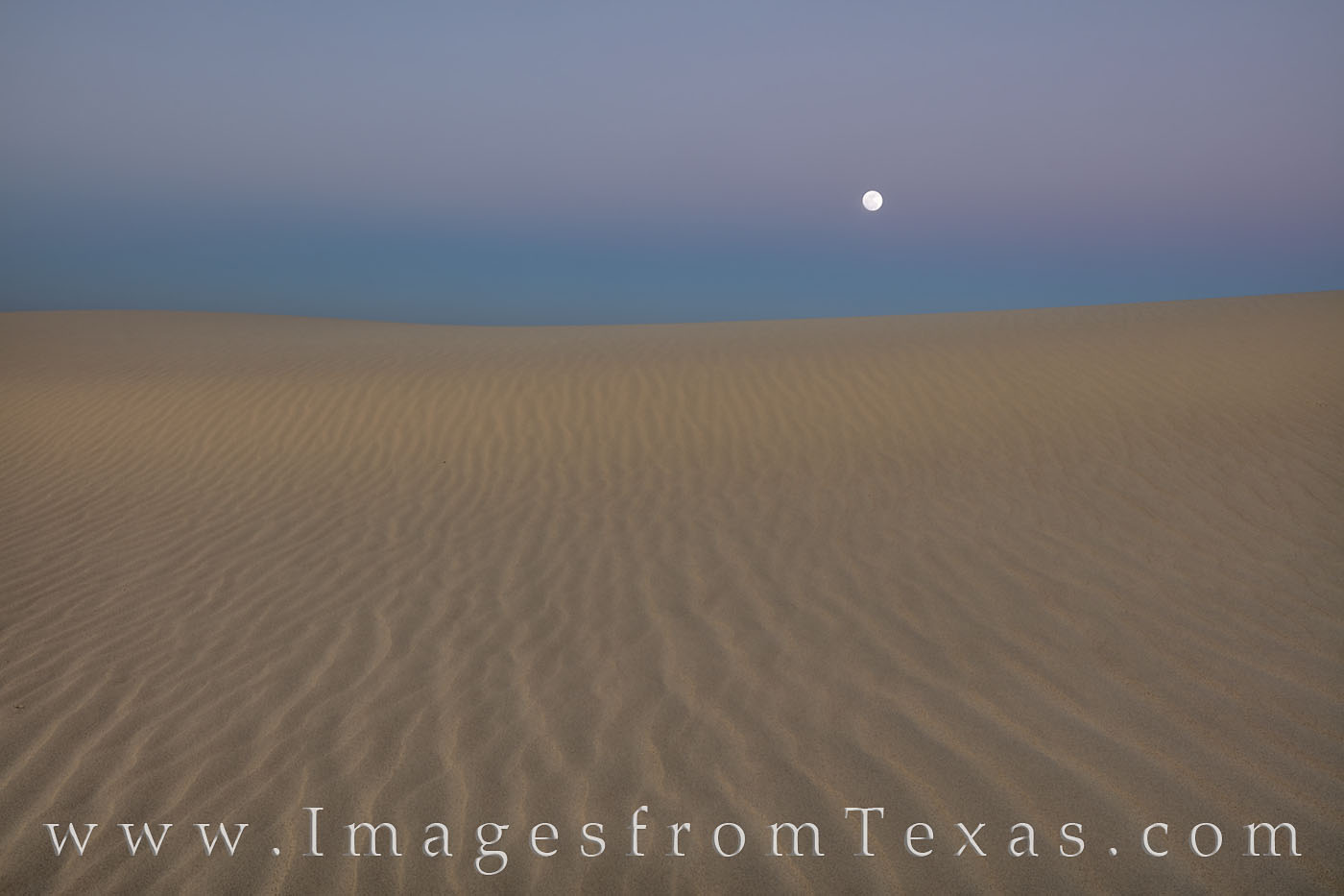 Early one morning in Sandhills State Park, the full moon sets in the west, dropping quietly behind the sand dunes that make up...