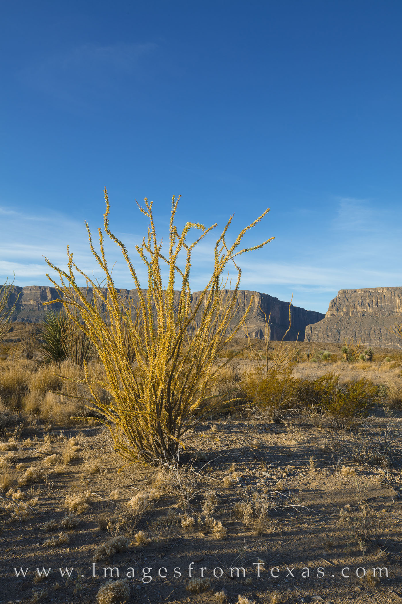 As one of the most well-known places in Big Bend National Park, Santa Elena Canyon is a sight to see. This November photograph...