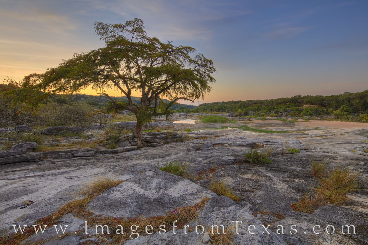 I’ve been visiting Pedernales Falls a long time. This old cypress has been standing as long as I’ve been walking these lonely...