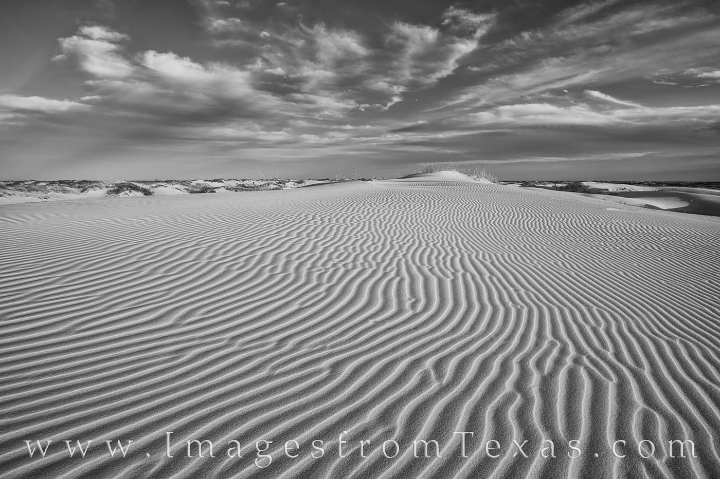 Sand Dunes Evening 1 black and white