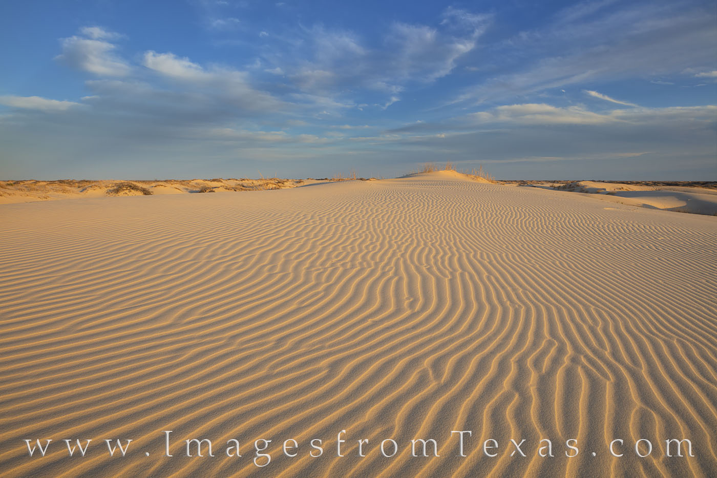 As the sun falls lower in the sky, the lines and textures of sand at Sandhills State Park near Monahans become more evident....