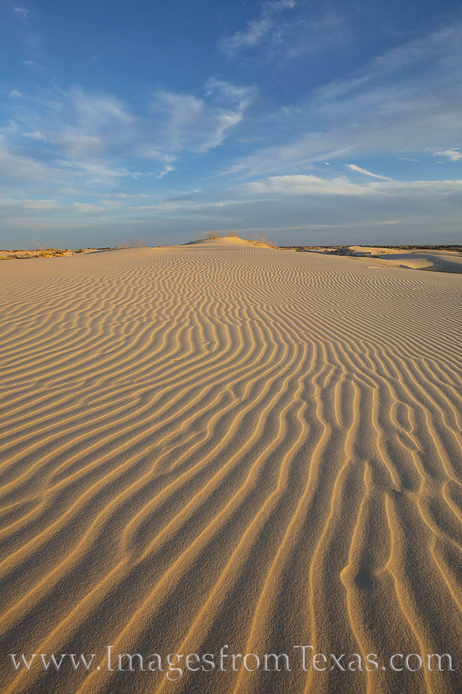 Lines and shadows begin to form in the patterns of sand as the sun sets low in the western horizon at Sandhills State Park. This...