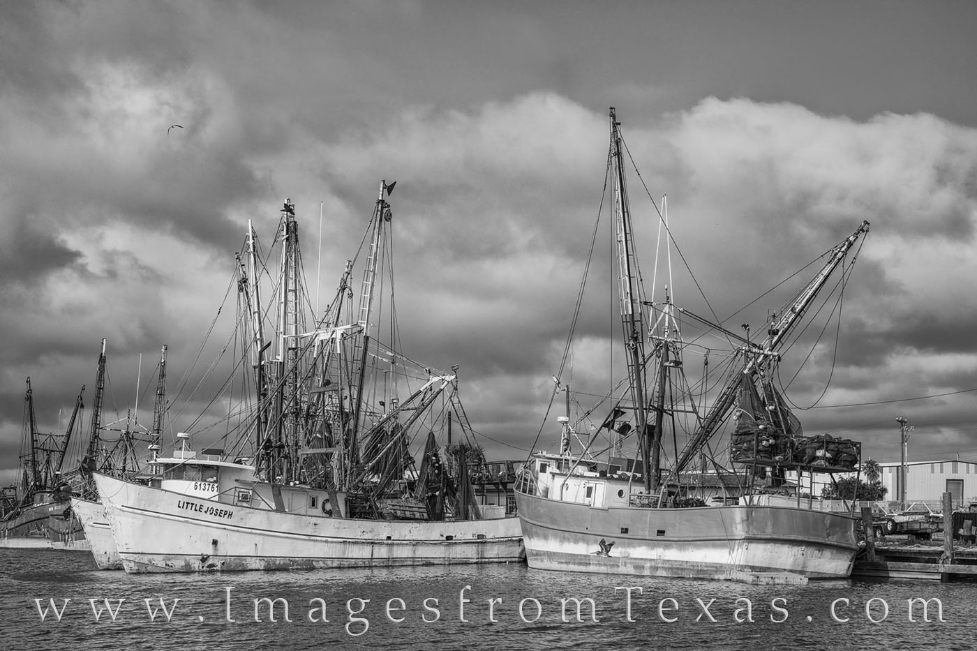 Shimp boats rest along a dock near Port Isabel in this black and white photograph from the Texas coast. Seagulls watched my every...
