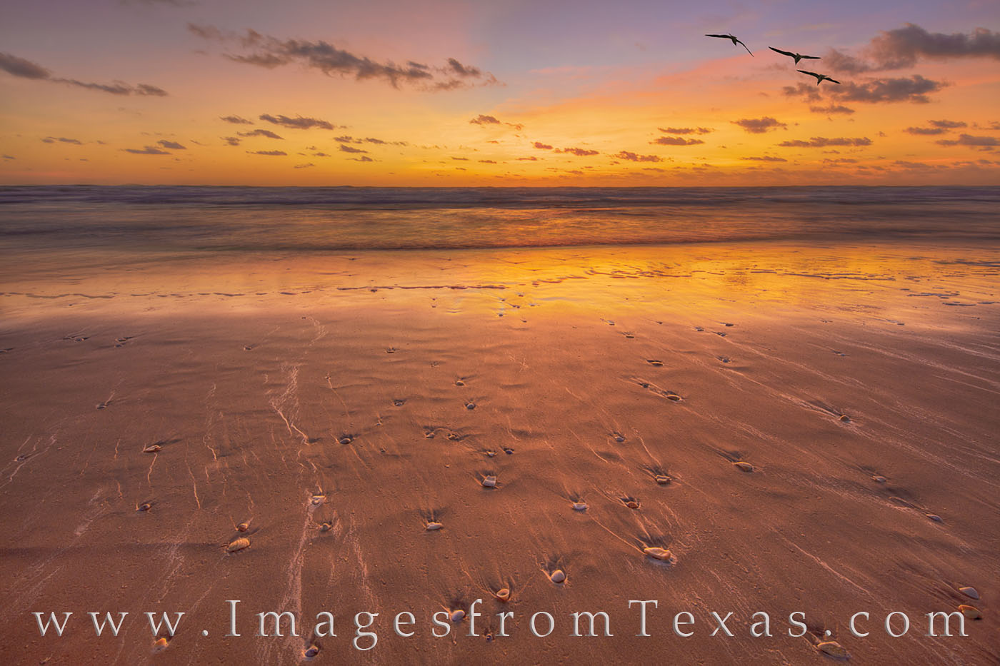 From South Padre Island, this is a beautiful early morning sunrise. As the waves washed out to the Gulf waters, the lines in...