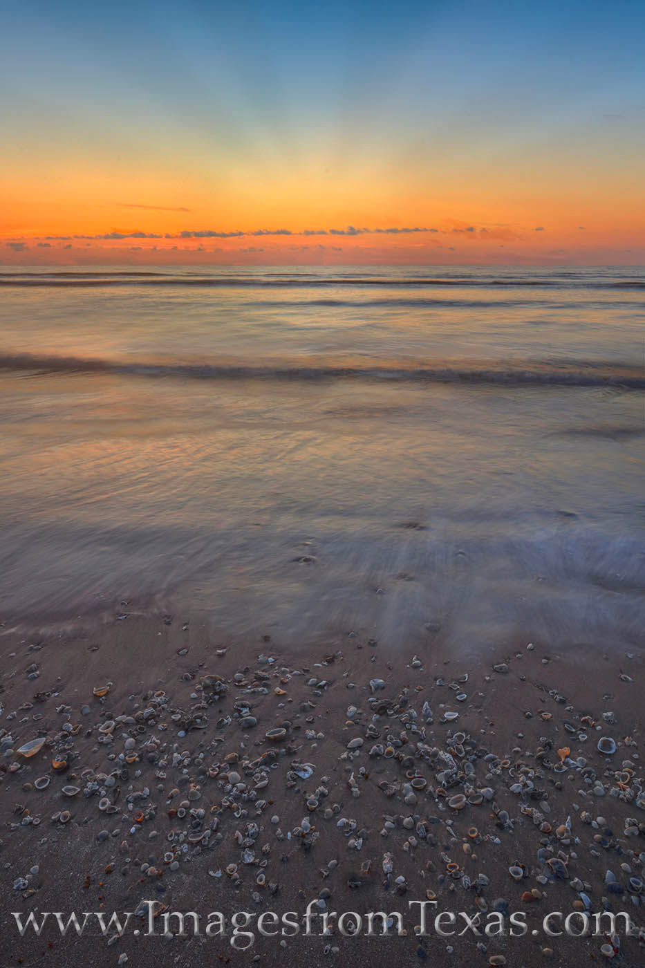 Seashells at sunrise during a low tide make for some fun beach combing along the sands at South Padre Island.