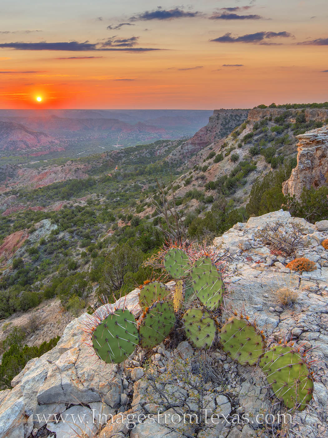 Fortress Cliff in Palo Duro Canyon offers some amazing views for those willing to hike up the trail. This October sunset found...