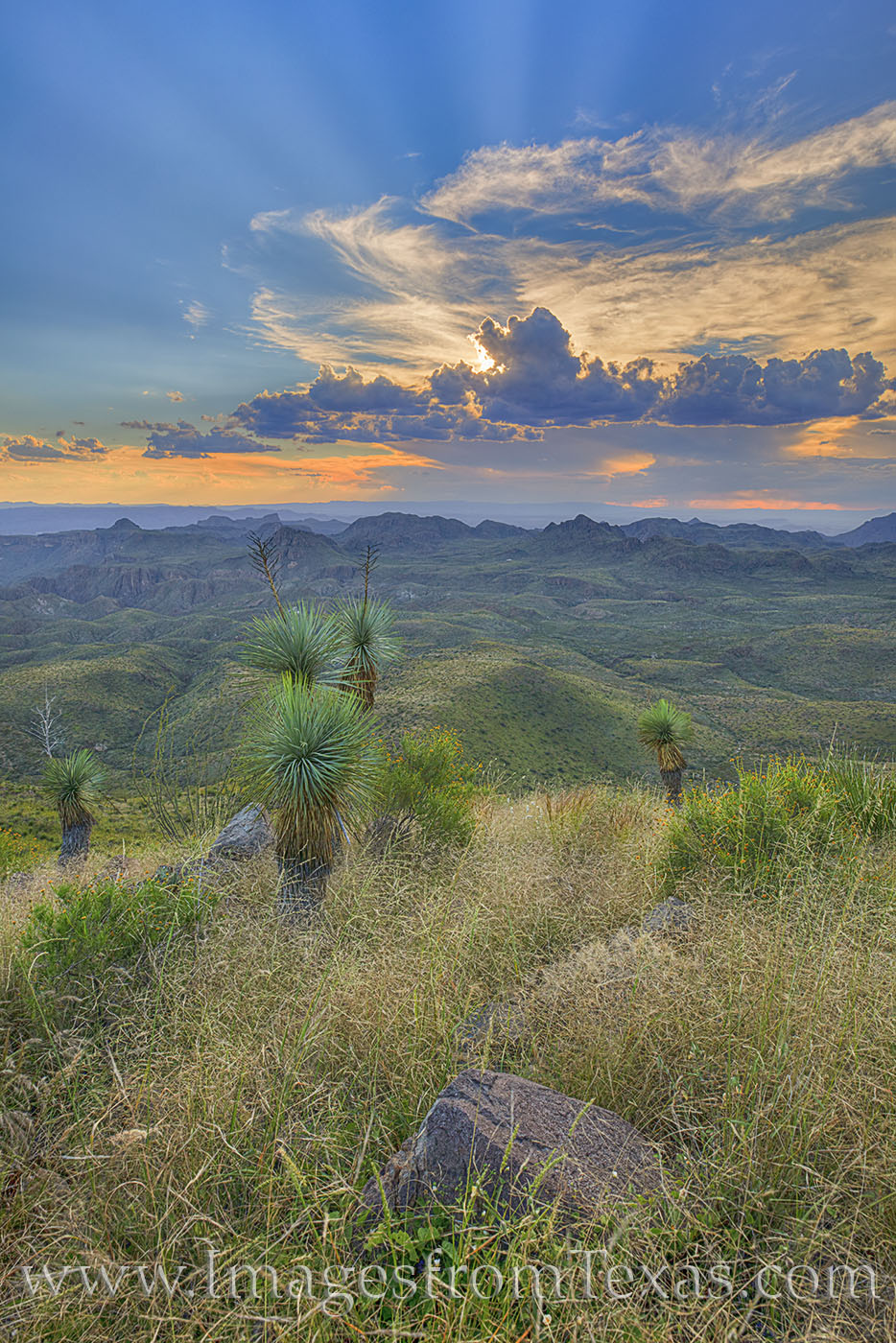 Reaching the summit of Oso Mountain, the tallest point in Big Bend Ranch State Park, does not come easy. From Presidio, a 30...