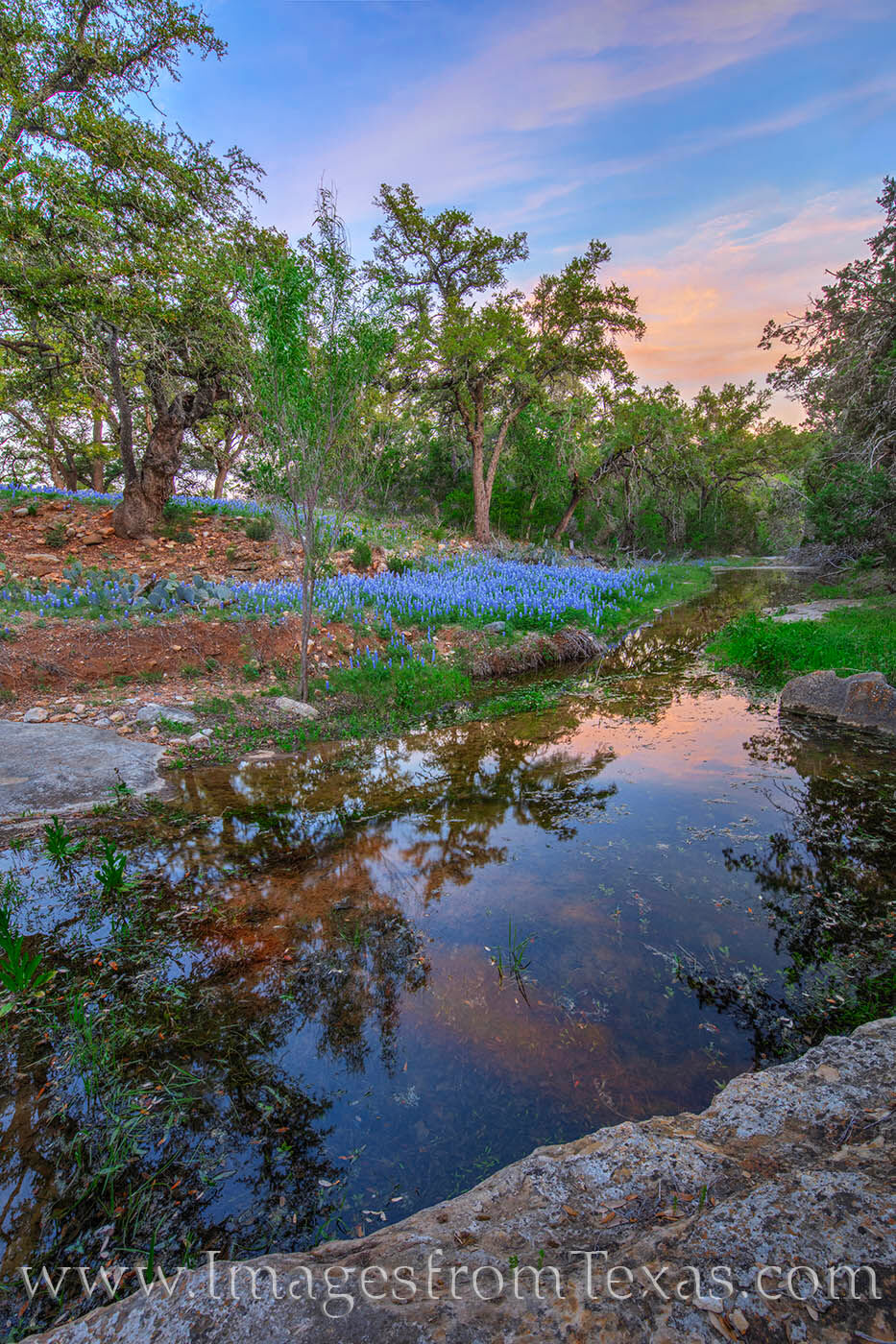 The quiet of a spring evening brings still waters and nice reflections along a limestone pool lined with bluebonnets in the Hill...