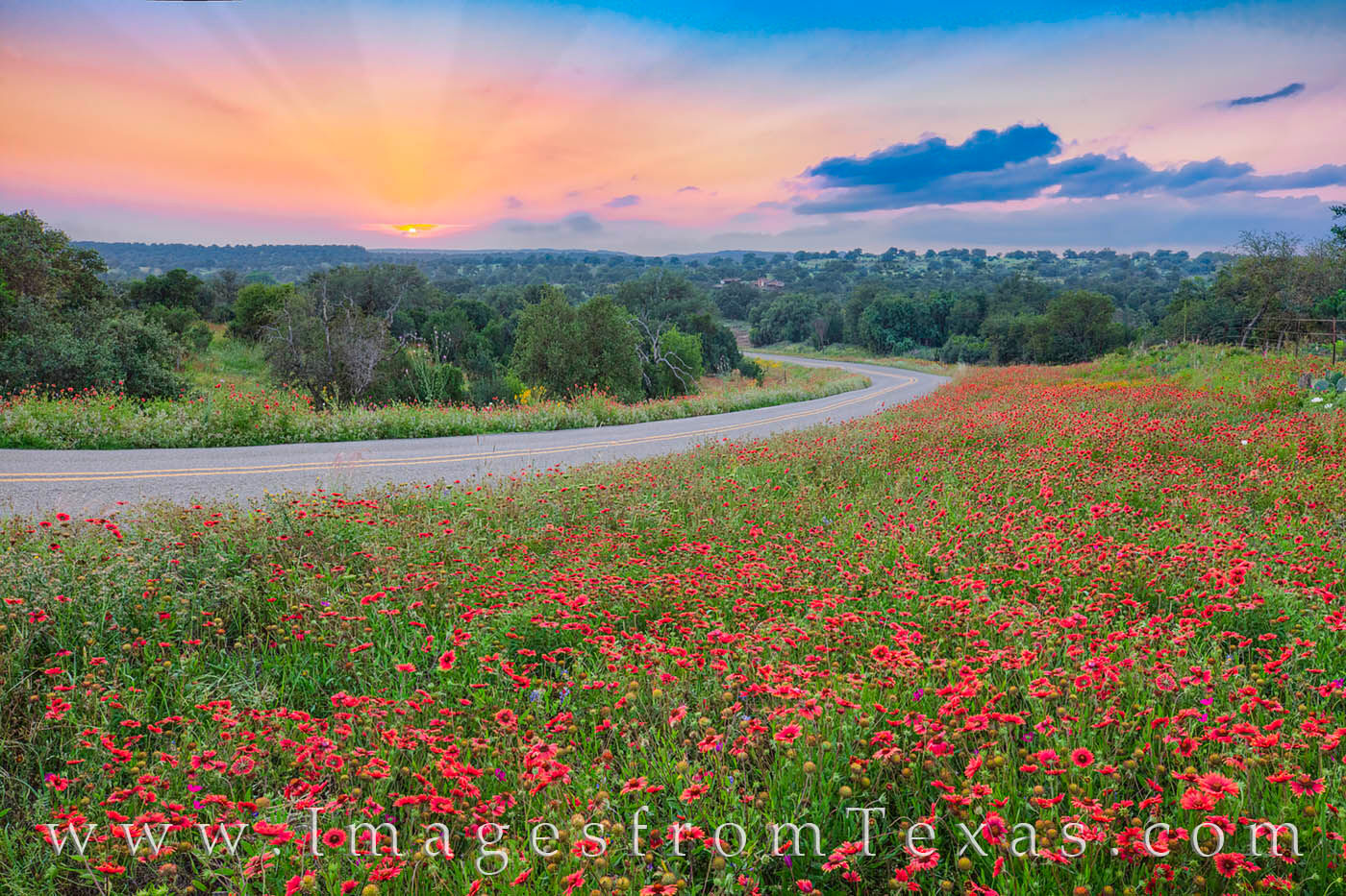 I had to pull over to take in this beautiful sunset in the hill country. Indian Blankets (firewheels), a colorful sunset, and...