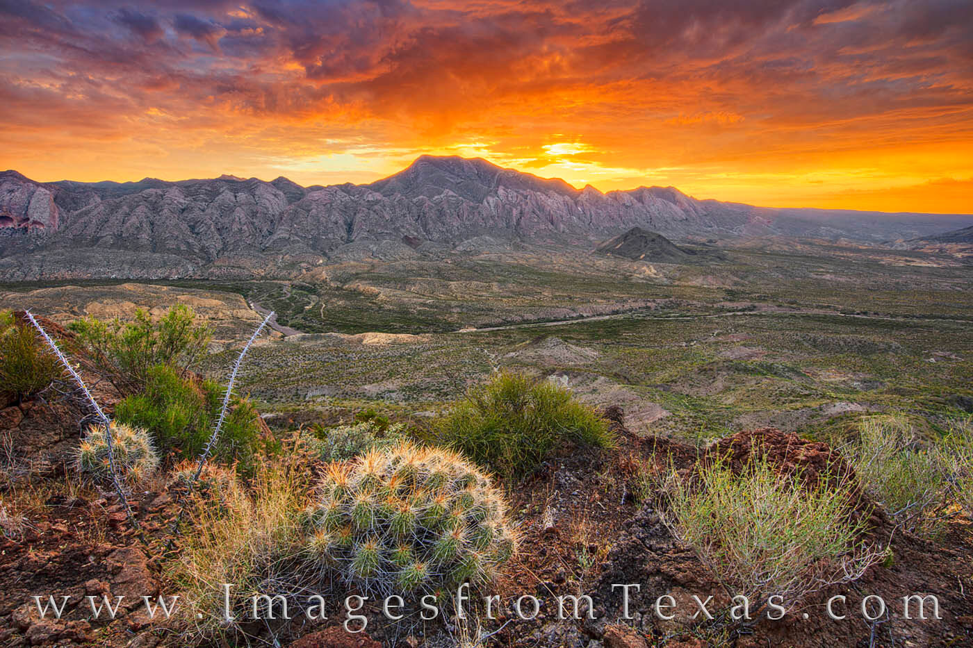 With cacti and scrub in the foreground, this photograph from Big Bend Ranch State Park shows the vast Fresno Canyon with the...