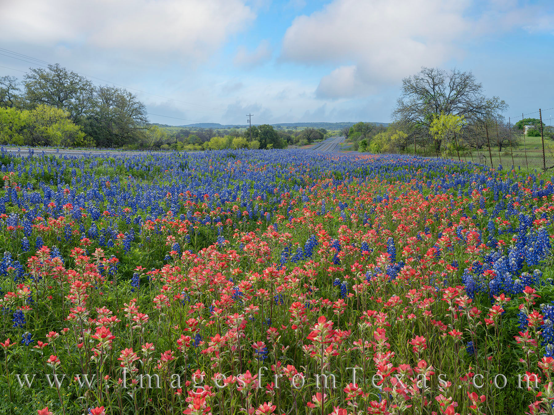 This spring morning found me in the Hill Country's northern parts. The bluebonnets and Indian paintbrush were vibrant under billowy...