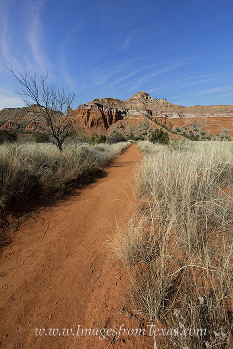 This vertical image of the trail leading to Capitol Peak in Palo Duro Canyon was captured in the late morning on a crisp Autumn...