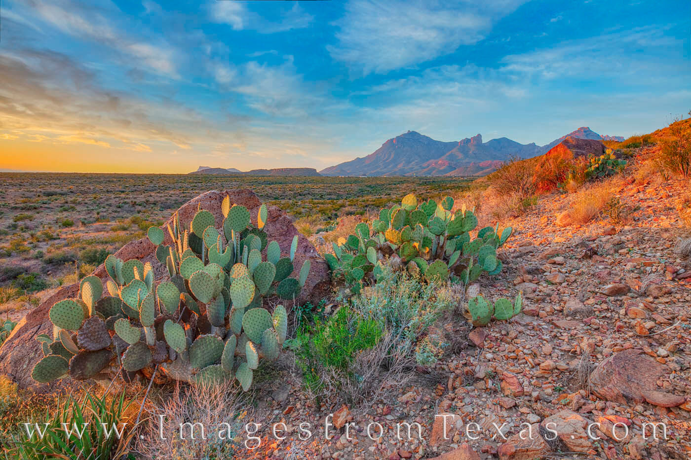 This Big Bend photo was taken near the Lone Mountain Trail in Big Bend National Park. The Chisos Mountains are visible in the...