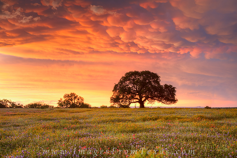 ** This image was awarded the Grand Prize in the Texas Hill Country Alliance's 2015 Photo Contest! ** Between Llano and Mason...